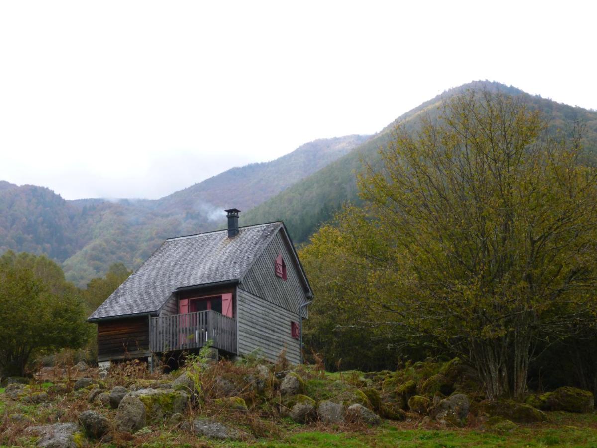 Les chalets de la forêt d'Issaux - B&B