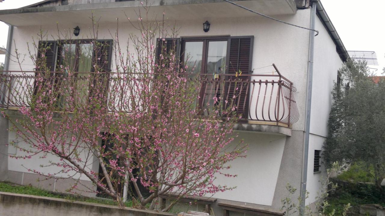 Apartment with terrace - B&B Trogir