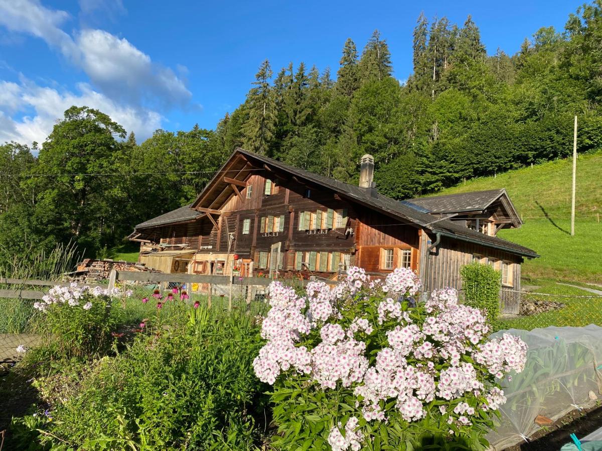 Ferienhaus Schönenmatte - Chambres d'hôtes Zweisimmen