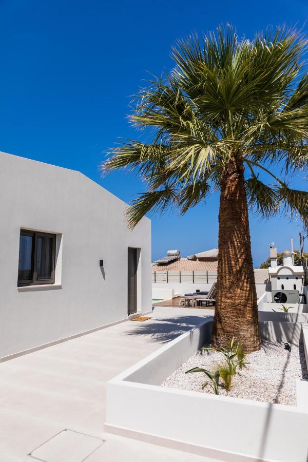 Infinity Palm Villa - Ferienwohnung Stavros