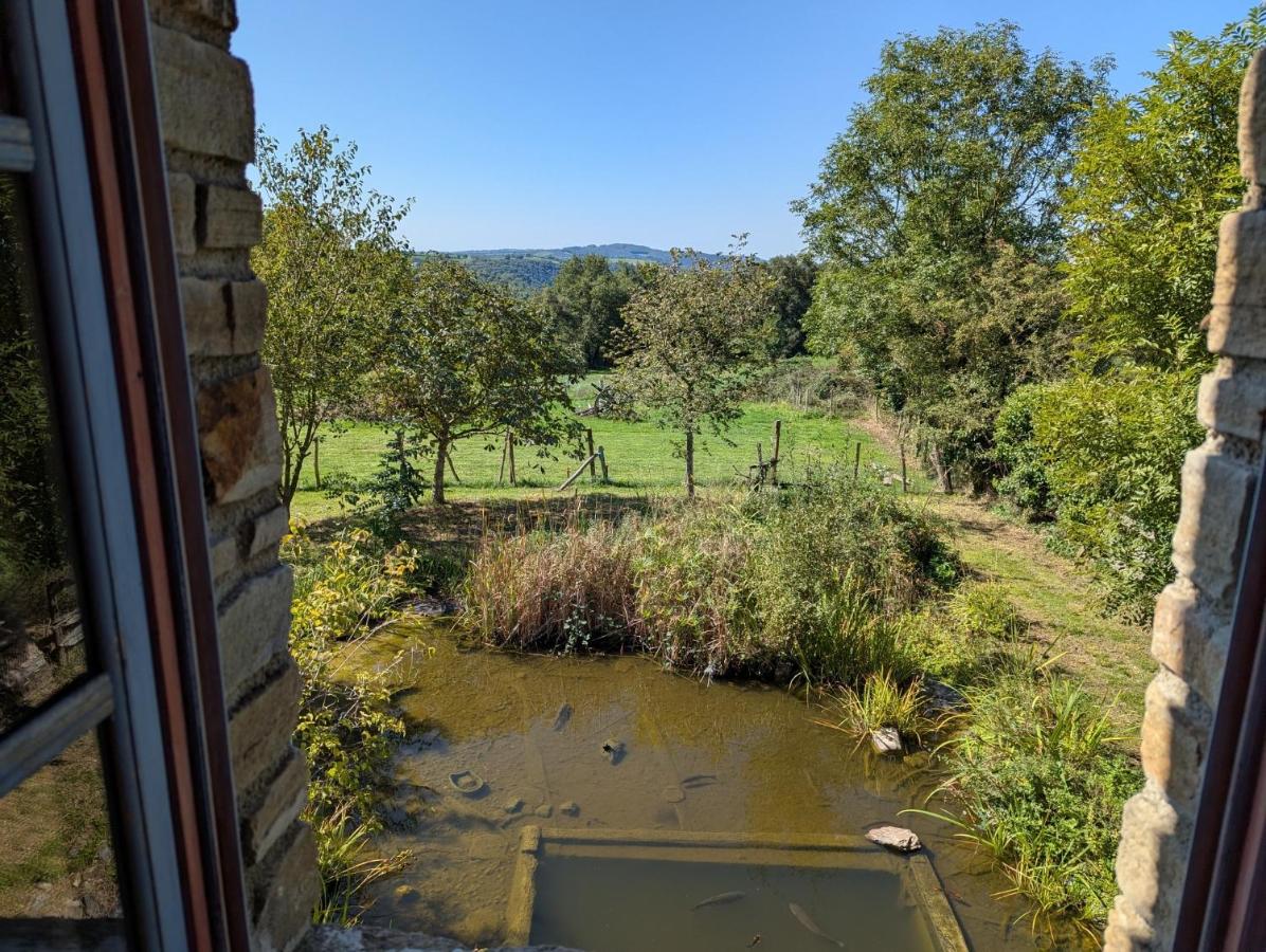 Habitación Cuádruple - vistas al jardín