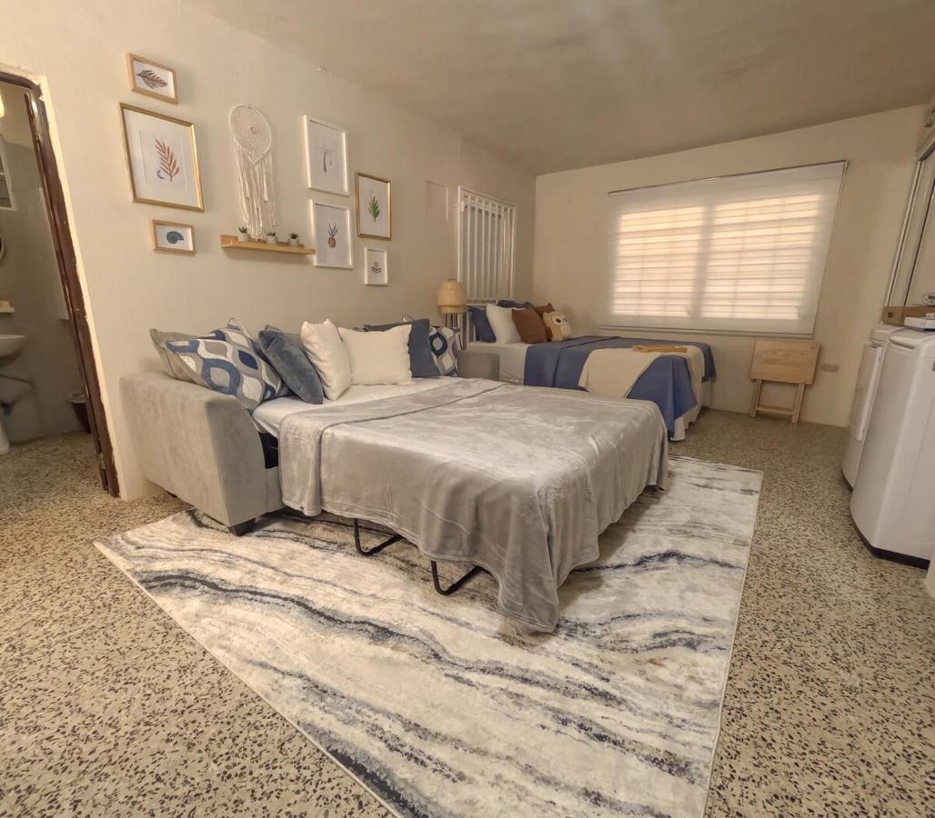 Appartement 1 Chambre