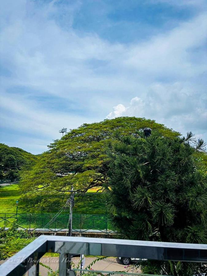 The Bougainvilla Homestay - Bed and Breakfast Fort Kochi