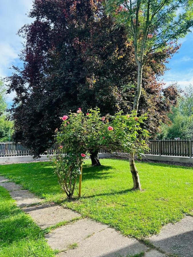 Guesthouse Tulln - B&B Tulln