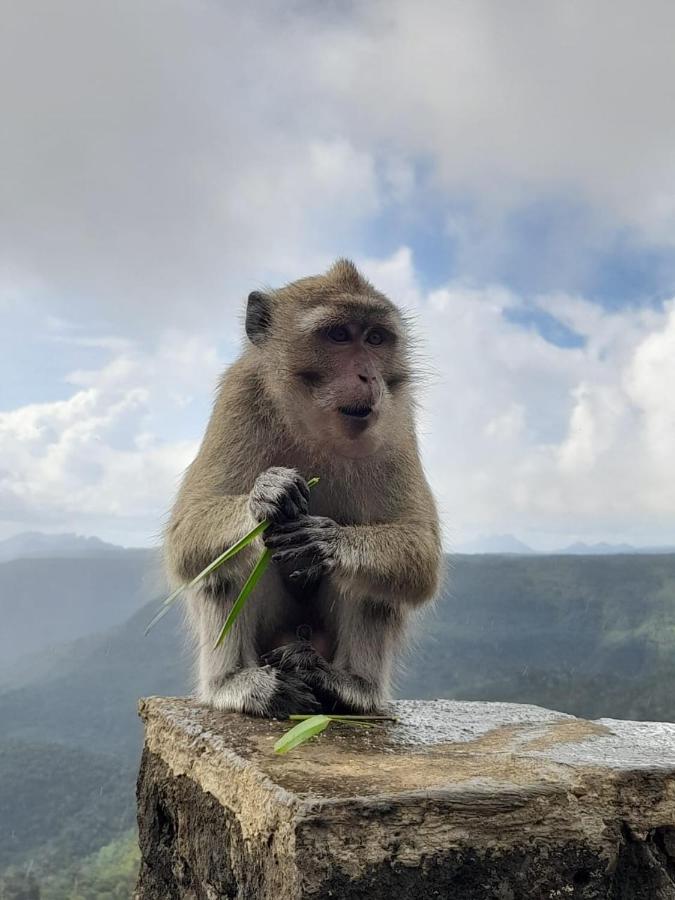 Lakaz - Bed and Breakfast Port Louis