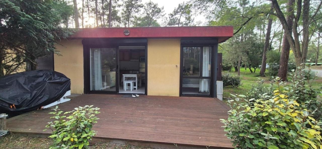 Léon Apartment - B&B Léon