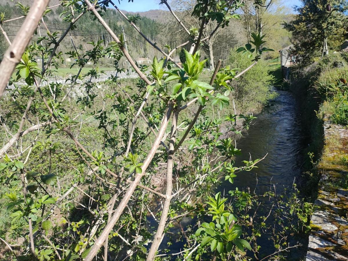 Jolie maison de village - Ferienwohnung Alzon