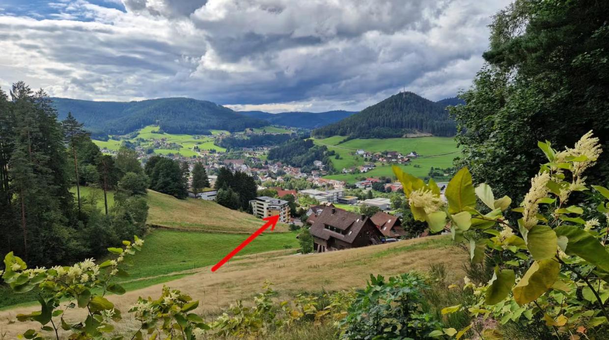 Waldblick-Appartement - Bed and Breakfast Baiersbronn