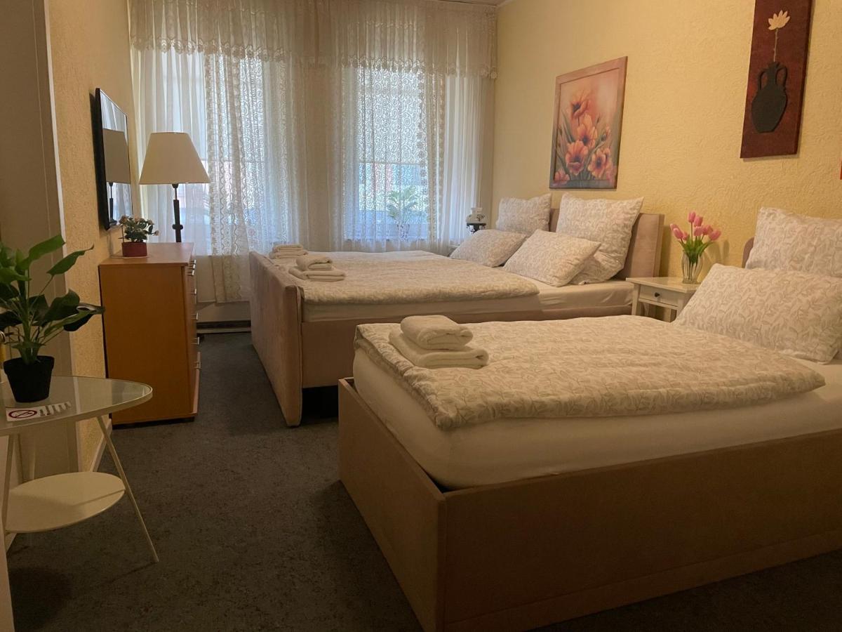 Nova Private Rooms - Bed and Breakfast Grünstadt