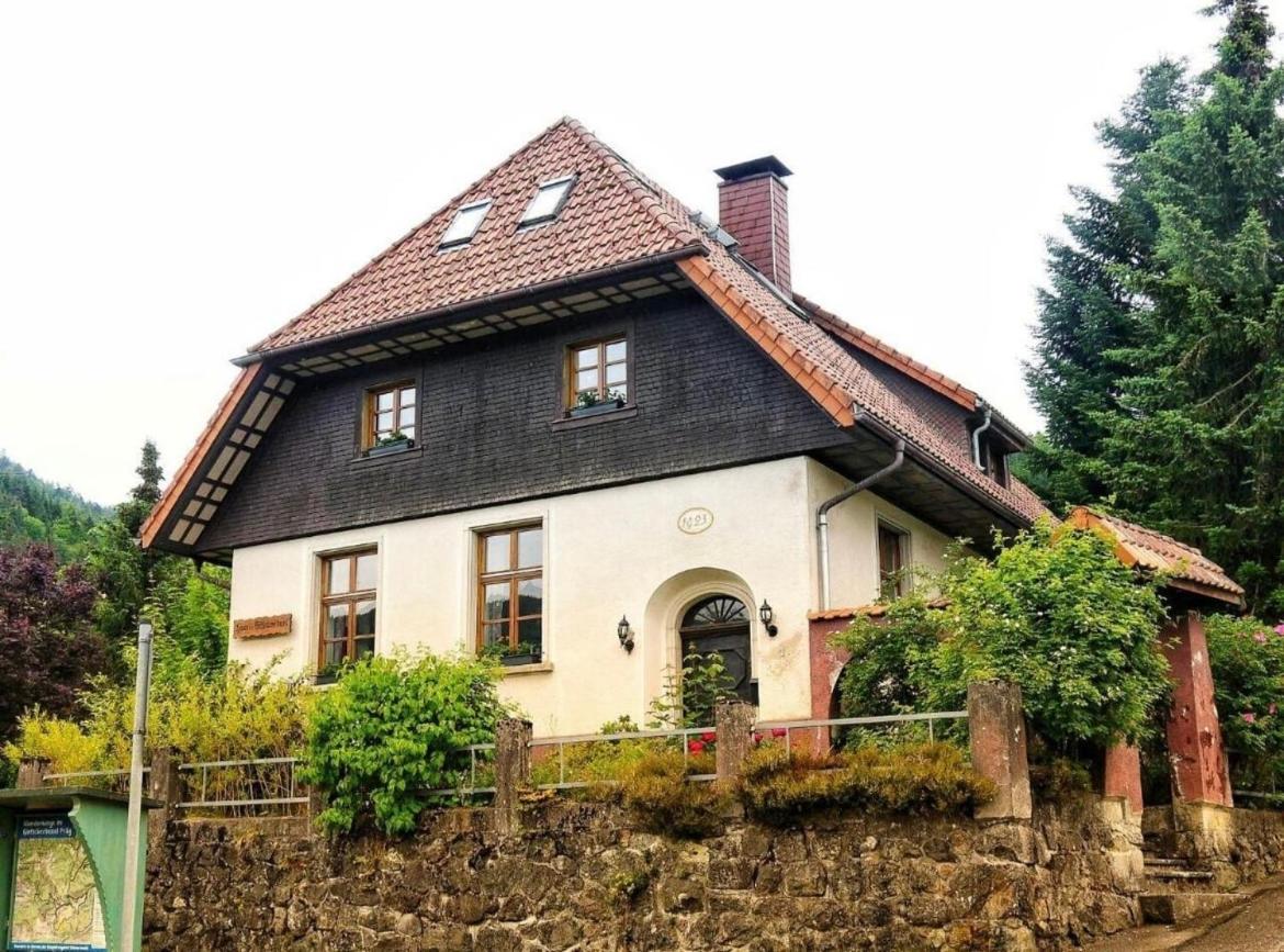 Grüner Wohnen im Alten Schulhaus - Ferienwohnung Todtnau