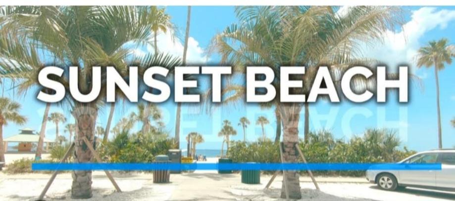 Cozy Retreat near the Beach - B&B Tarpon Springs