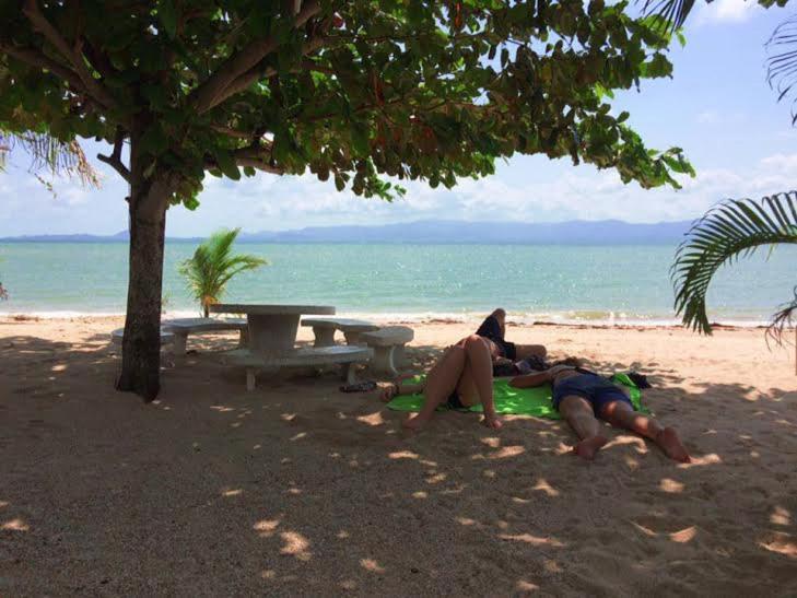 Phangan Lodge - Ferienwohnung