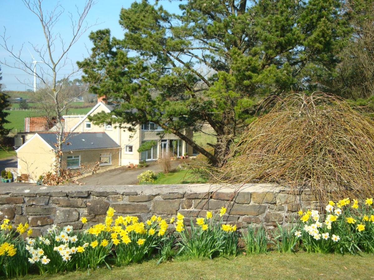 Pen-y-Bont Guest House - B&B Amroth