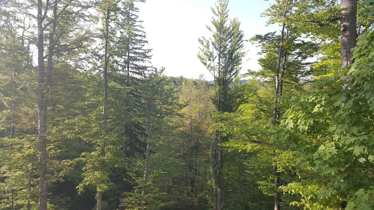 Apartment Hobbit - Bjelašnica - Bed and Breakfast