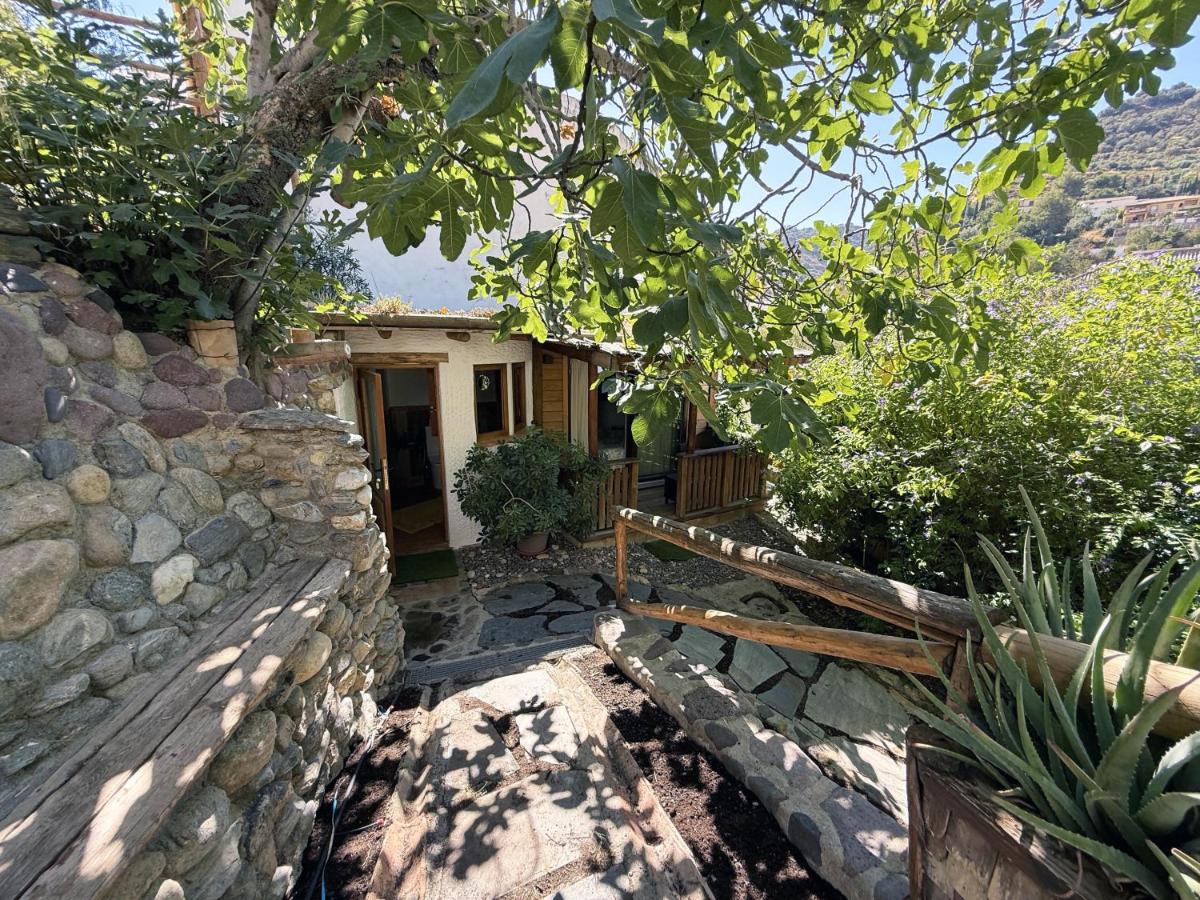 Mshome La Turquesa - B&B Monachil