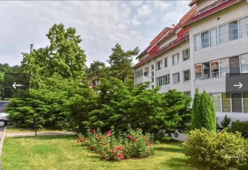 Tolumoje Marios poilsis Nidoje - Chambres d’hôtes Nida