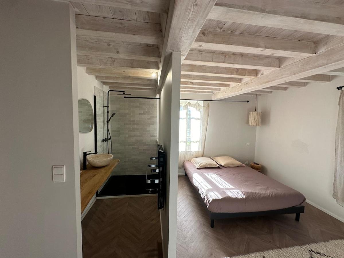 Magnifique villa tout confort à 20m de Toulouse - Chambres d'hôtes Noé