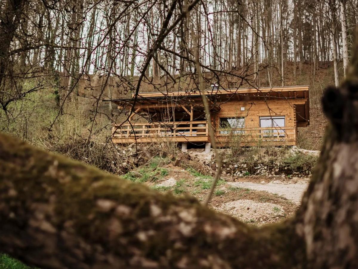 Chalet Vogelnest - Ferienwohnung Vorra