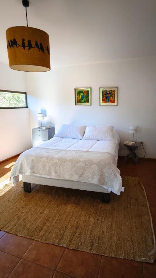 Cabaña Velo de la Novia II - Siete Tazas - Chambres d’hôtes Molina