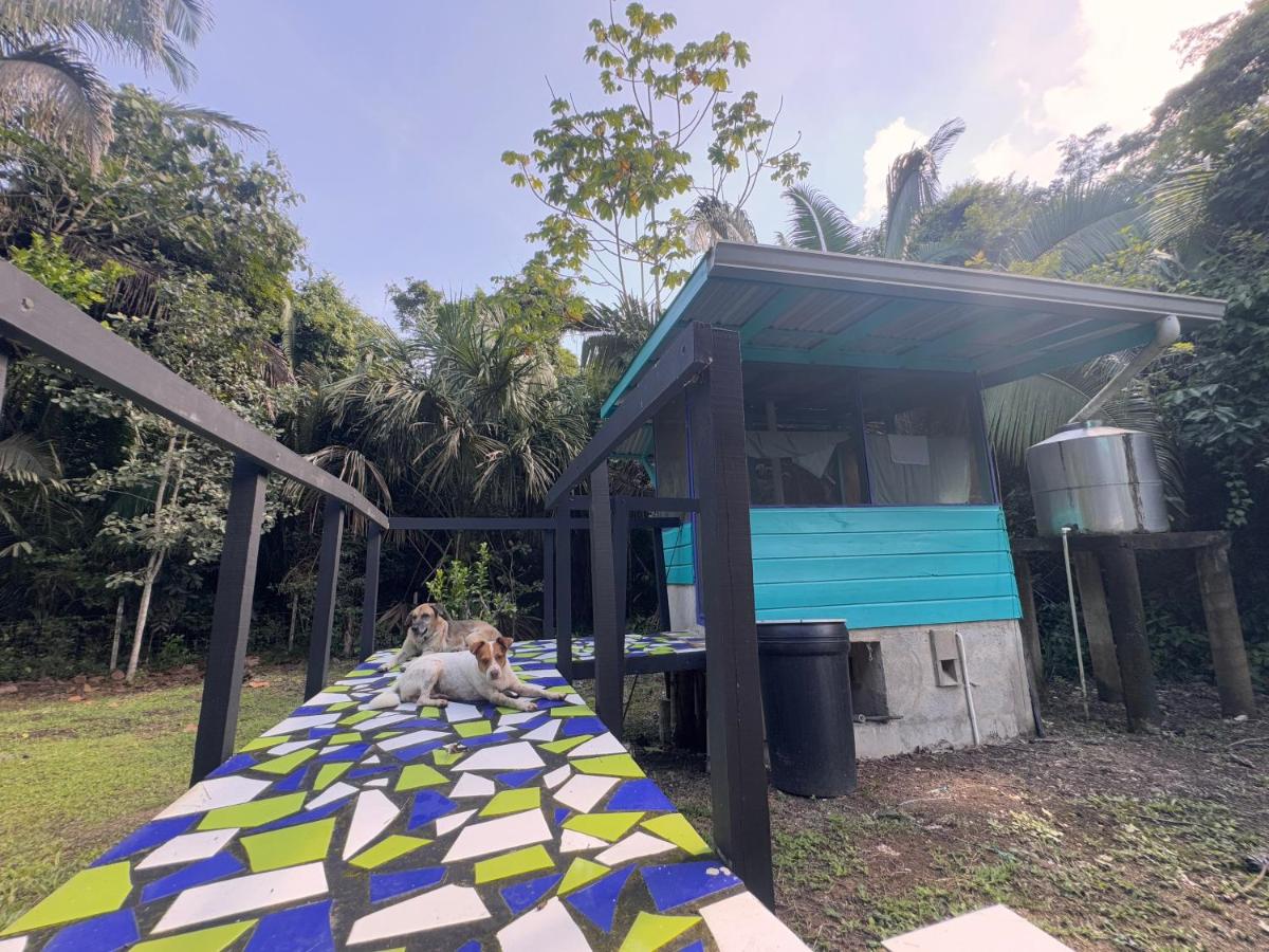 Camera Matrimoniale Budget