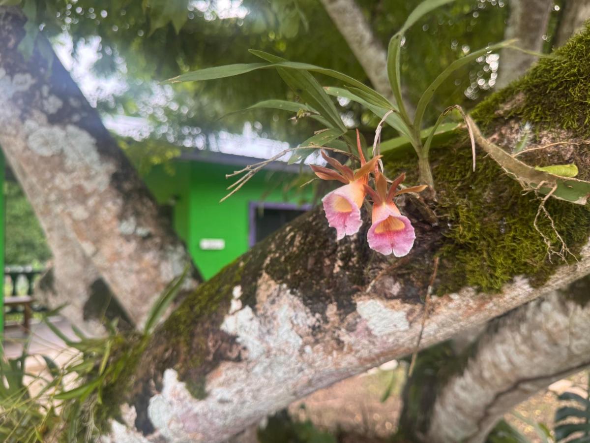 Camera Matrimoniale con Accesso Disabili