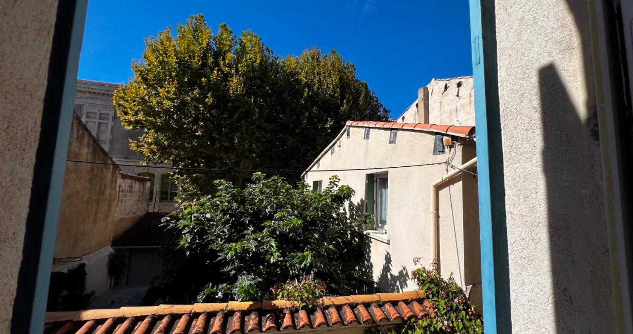 Heart of town - Comfort and spaciousness - B&B Avignone