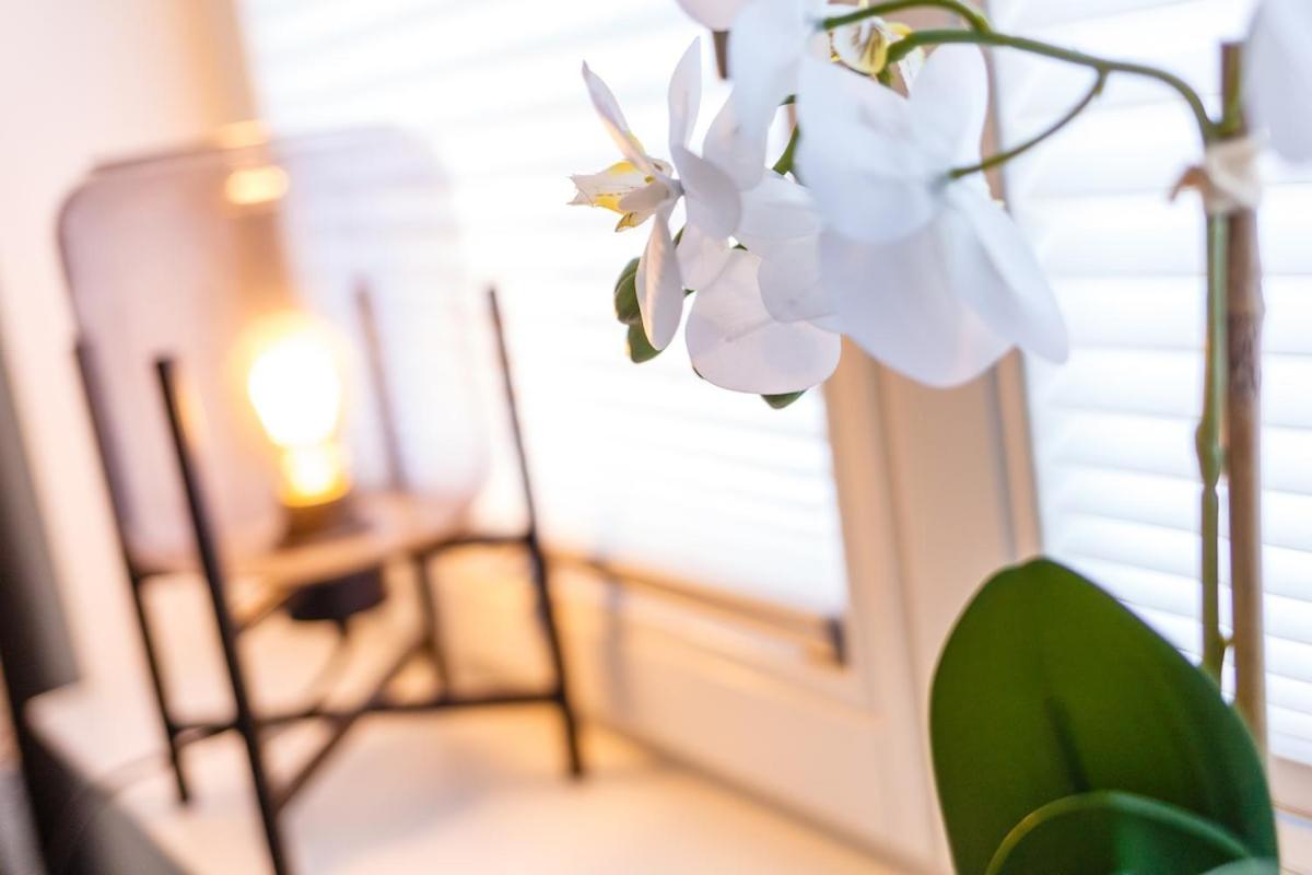 Boutique Apartment Parsifal - Ferienwohnung Bayreuth
