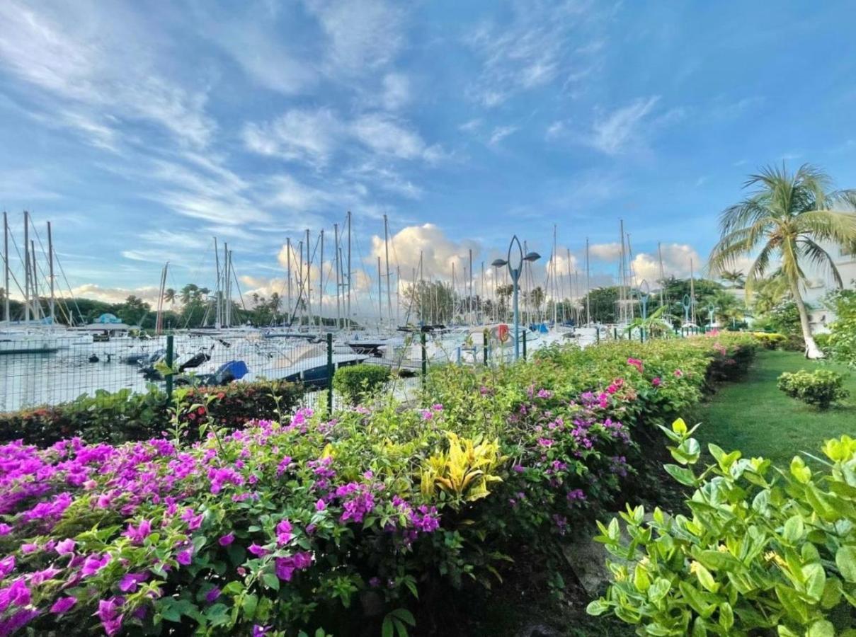 Coconut Lodge - Marina des Trois-ilets -T1 - Chambres d’hôtes Les Trois-Îlets