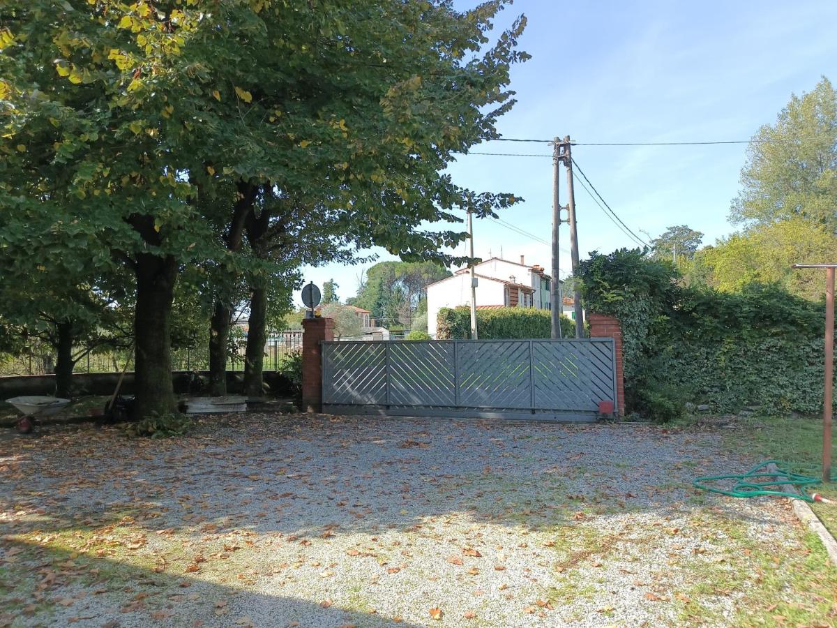 Happy Garden - Chambres d’hôtes Capannori