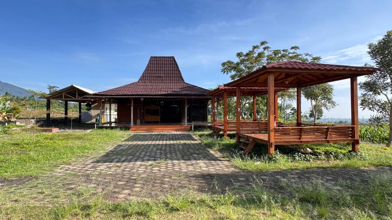 Teras Alam - B&B Karangjati