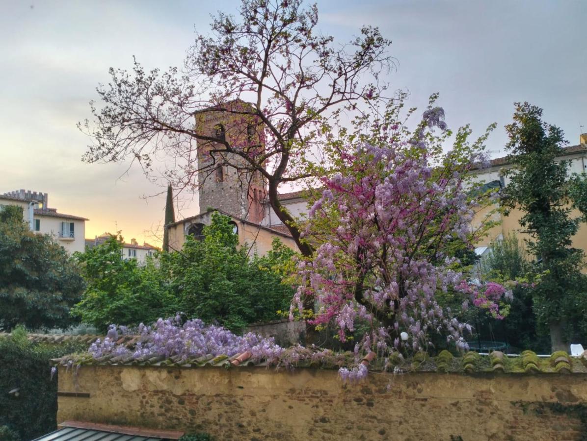 Appartamento - Palazzo Reali Apartment - B&B Pistoia