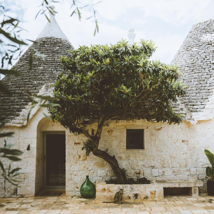 TRULIVO - B&B Monopoli