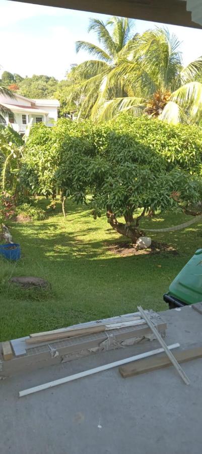 Tranquil place - B&B Londres