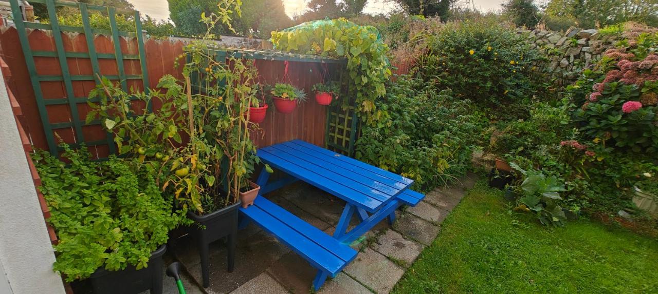 Clonakilty Holiday Home - B&B Feevaghmore