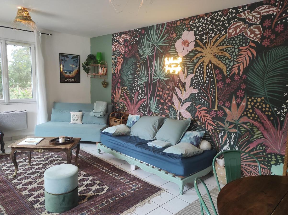 Petite maison cosy l'Ermitage - B&B Campagne