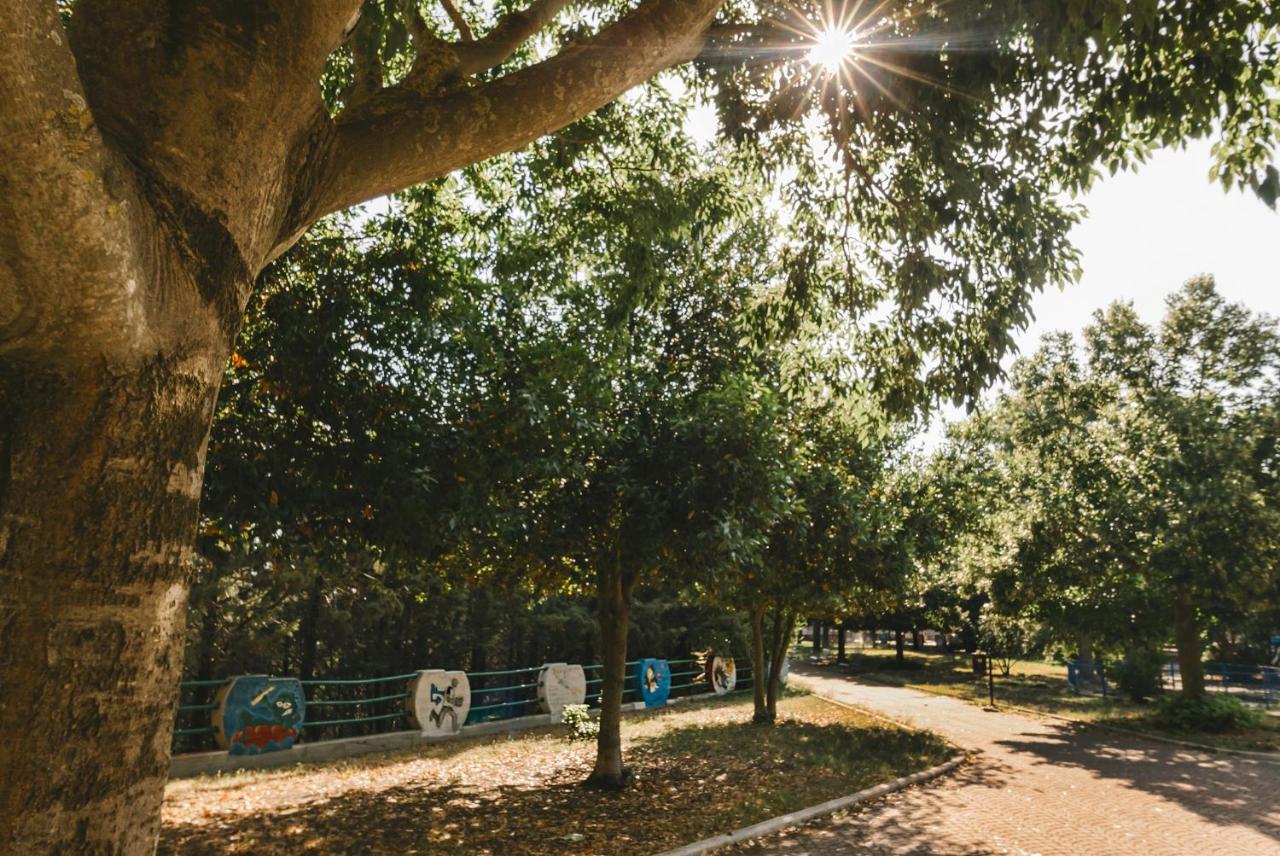 Casa Vacanze Patrizia - Bed and Breakfast Montescaglioso