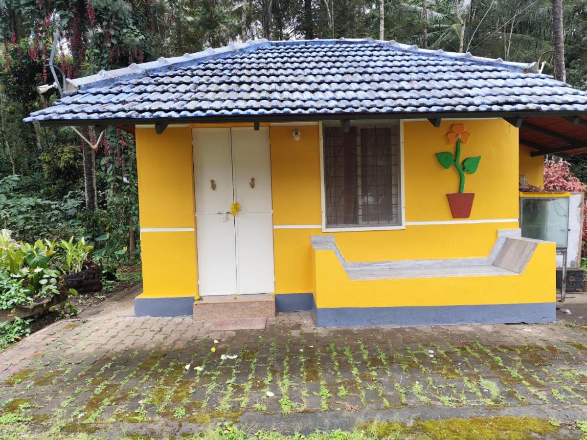 Rising Surya Homestay - B&B Kushālnagar