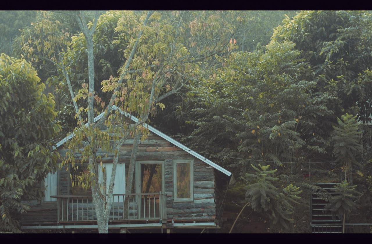 Bungalow Fronte Acqua 