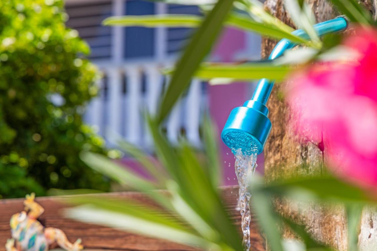 Appartement Frijberg - Bed and Breakfast Willemstad