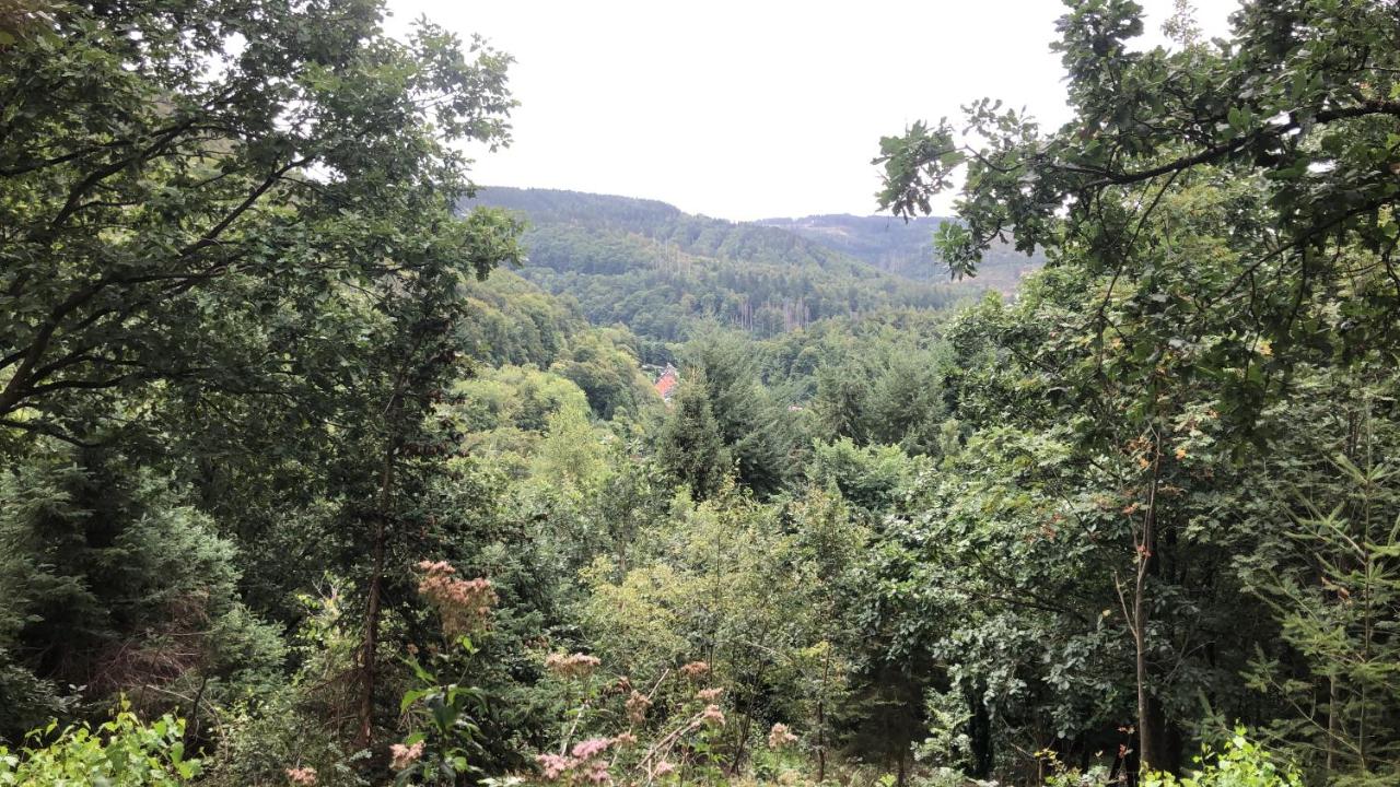 Waldläufer - B&B Bad Grund