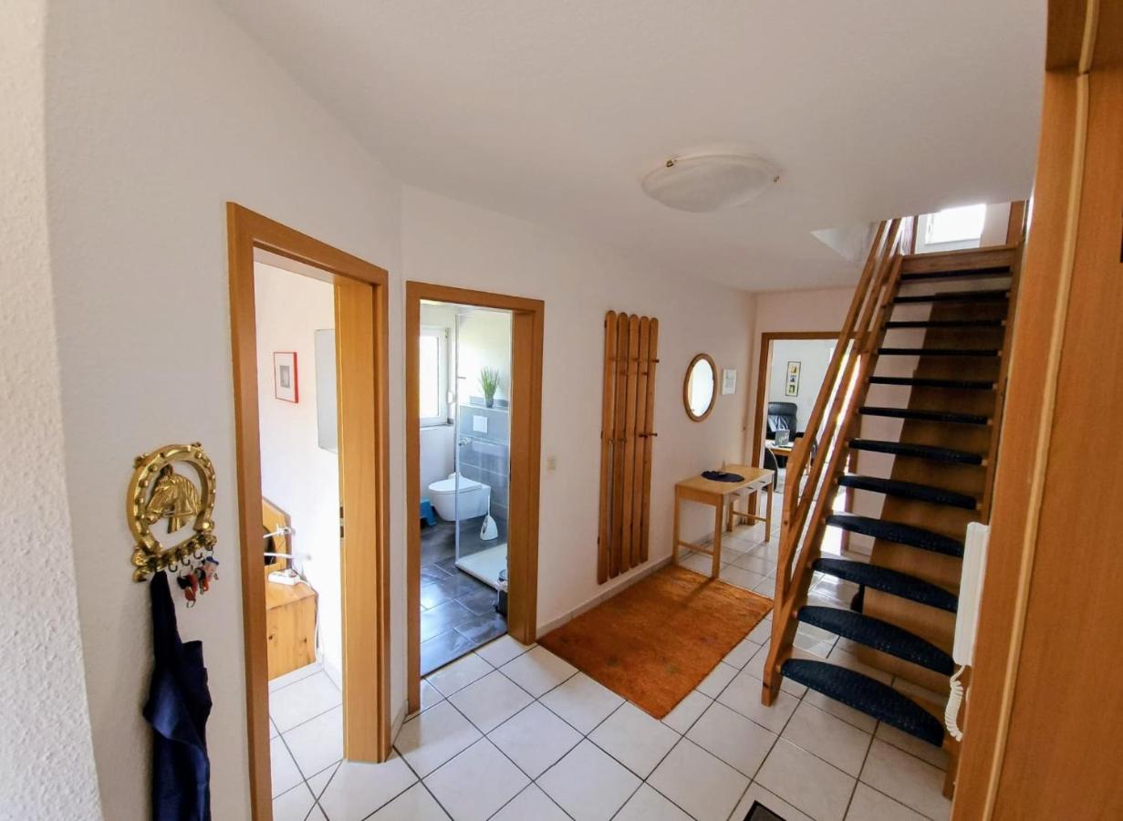 Lachmöwe - Ferienwohnung Dornumersiel