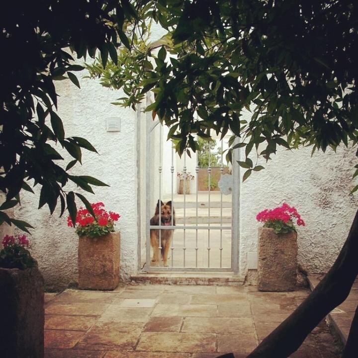 B&B Masseria Donna Carlotta - B&B Serrano
