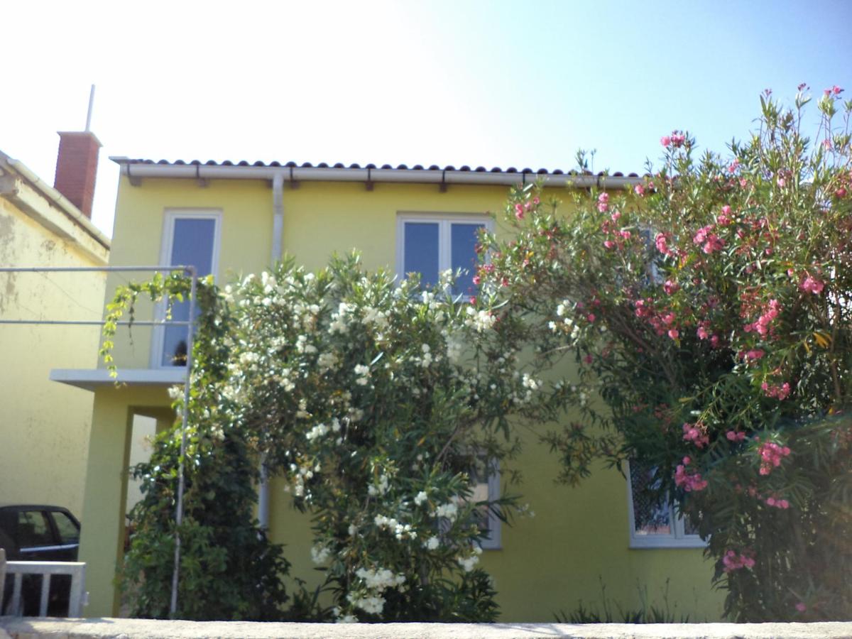 Apartment Goga - B&B