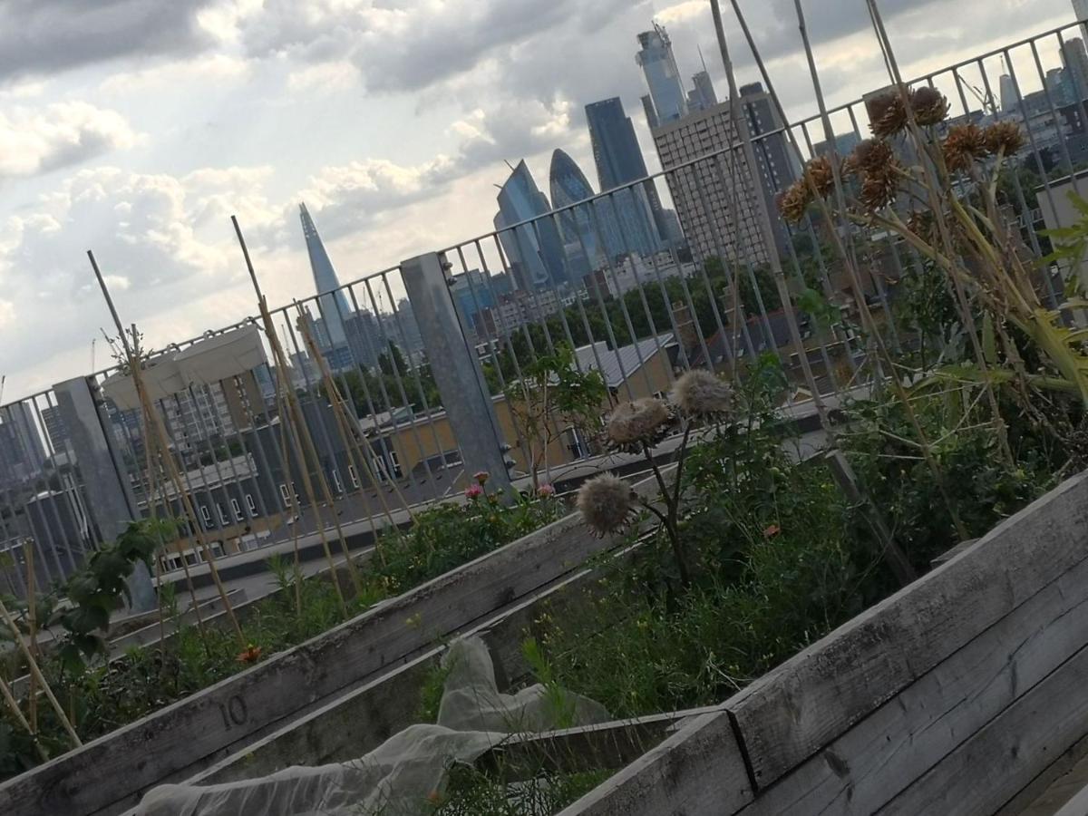 Homely Spacious 3 bedrooms duplex with roof-top next to Victoria Park & regent's canal in vibrant East End London - B&B Londra