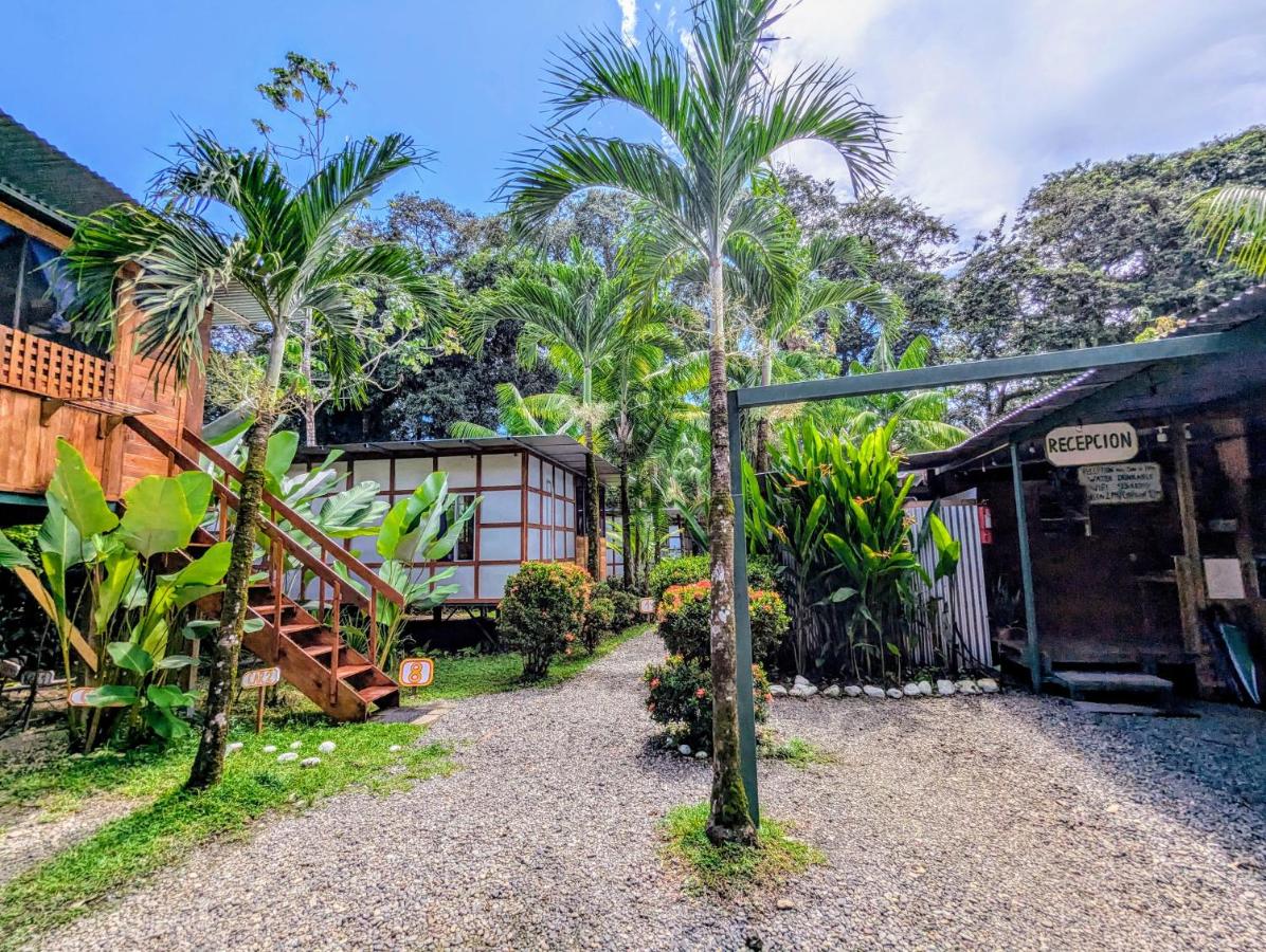 Bungalow Estándar con ventilador