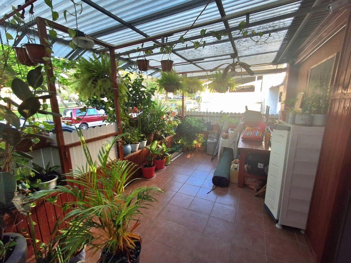 הוילה של דורית - B&B Ashquelon