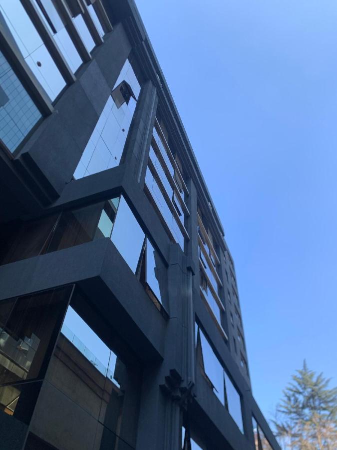 Metro Pedro de Valdivia, Providencia, Departamento - B&B Santiago de Chile