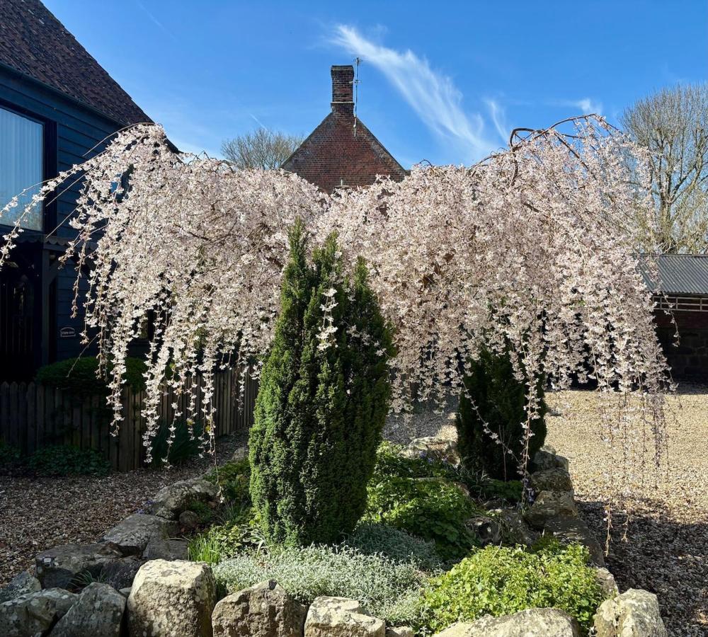 The Swallows Rest, Avebury - B&B Avebury