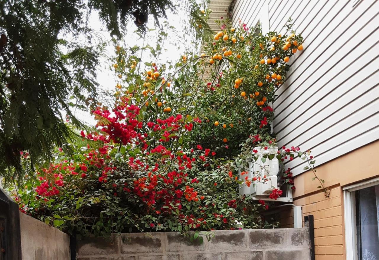 Hostal Abrazo de Maipu - B&B Santiago