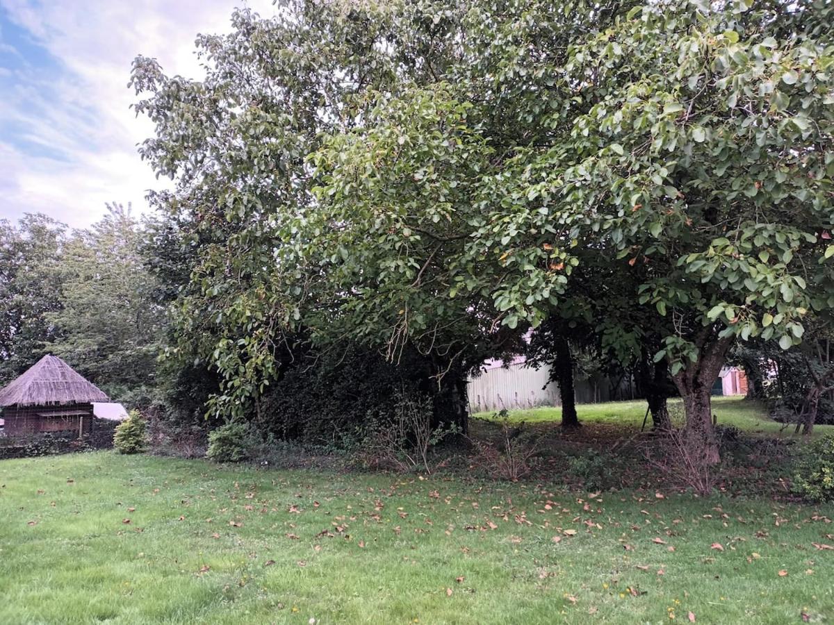 Maison Châtillon sur Loire - Peace and quiet - Ferienwohnung Châtillon-sur-Loire